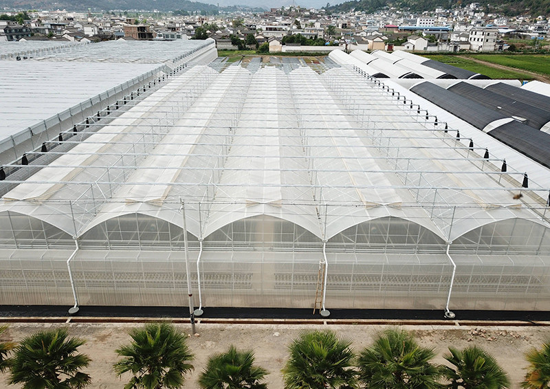 句容溫室大棚栽植要控制澆水量